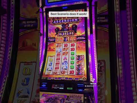 Cadoola Casino: Inloggen en Online Casino Spelen in het Belgische Casino Milieu