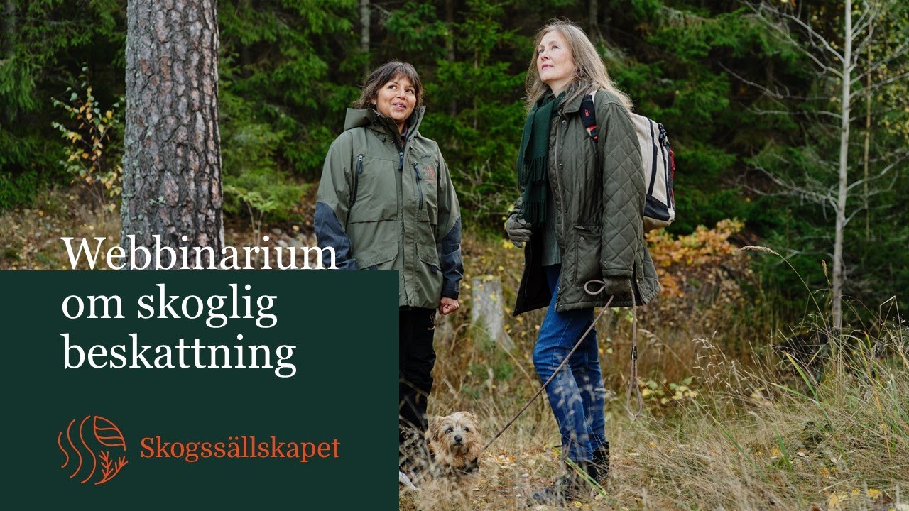 Webbinarium 27 november 2023 om skoglig beskattning
