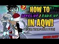 Aqw  best way to level up  rank up in aqw for all players super easy