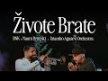 Dnk feat naum petreski  dzambo agusev orchestra  zivote brate official music 2024