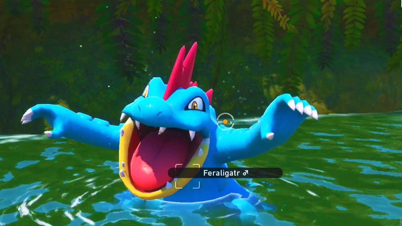 what's up with Feraligatr? ...OH SH--