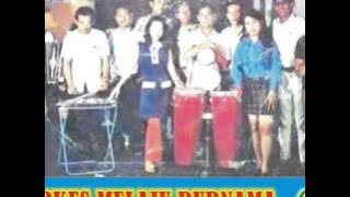 Anna Bahfen Ayam Jantan & Betina