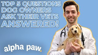 5 Most Common Questions For Vets, ANSWERED! by AlphaPaw 37 views 1 year ago 12 minutes, 29 seconds