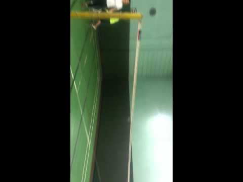 Professional Badminton