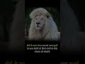 Motivational video