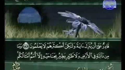 سورة الأنعام 6 - 114 سعد الغامدي - قراءة مرتلة