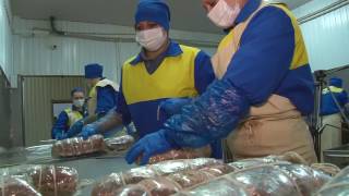 видео: Программа картинка: Программа