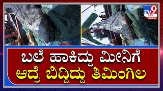 ಸಮದರಕಕ ಇಳದದದ ಮನಗರರಗ ಶಕ ಕಟಟ ತಮಗಲMangaluru Timingilatv9 Kannada