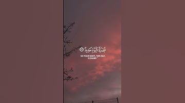 صل على محمد #محمد_اللحيدان #قرآن #المصحف #quran #القرآن_الكريم #قران_كريم #تلاوة_هادئة #تلاوة_خاشعة
