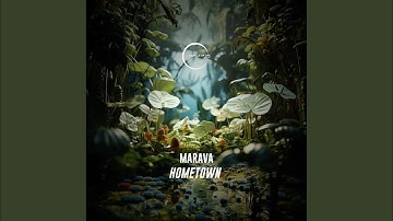 HomeTown