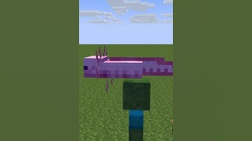 Axolotl VS Zombie 2 😂 {Minecraft Animation}