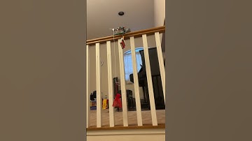 LEGO Pendulum mechanism