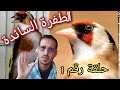 طفرات الحسون (الطفرة السائدة) حلقة رقم واحد 1 مع المولوع  حسين جزاه الله خيرا .
