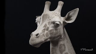 Sculpting Animals: Giraffe