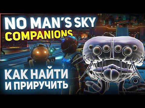 Видео: No Man's Sky Compaions - Как приручить животных / Подробности обновления / Гайд 2021
