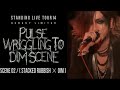 Capture de la vidéo The Gazette - Tour 14 - Pulse Wriggling To Dimscene Live