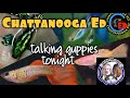 Chattanooga ed talking guppies