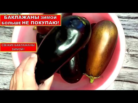 Баклажаны зимой не покупаю🍆🍆 🍆 После такой заморозки БАКЛАЖАН на зиму ОТКАЗАЛАСЬ от других Способов