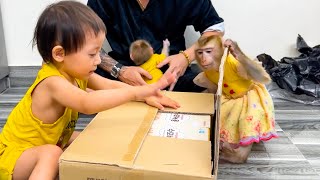 Monkey Kaka and Diem were curious and eager to open dad's gift box