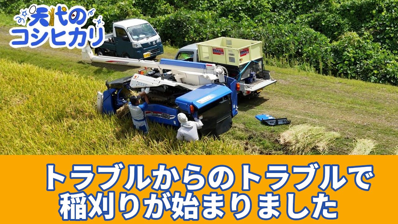 【稲刈り初日】開始と同時にブザーが鳴り響きました