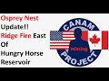 Osprey Nest Update- Ridge Fire East of Hungry Horse Reservoir Montana