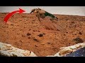 صور غامضة " ليس لها تفسير " صورتها ناسا على كوكب المريخ