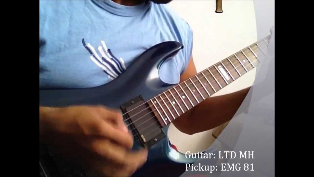 emg 81 498t