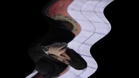 Preview 2 Tzancă Uraganu v49 in Rotation Wave