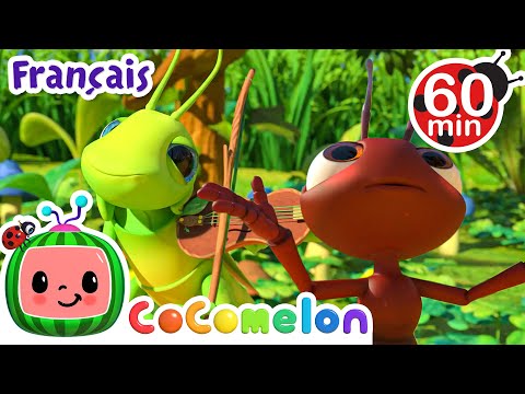La cigale et la fourmi | | CoComelon en Français | Chansons pour bébés