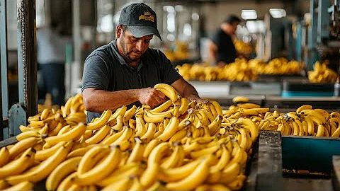 Inside the Future of Manufacturing | Mass Production Processes Powered by Advanced Machines