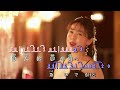 夢空港  ~  川井聖子   MV  歌詞譜版