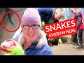 SNAKES COMING OUT OF THE ROOF 😳and TOO MUCH CHICKEN POOP ALREADY?! | Homesteading for Beginners ✅