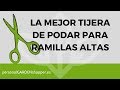 La mejor tijera de podar para ramillas altas