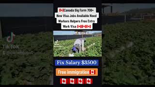 Canada Big Farm New Jobs Available