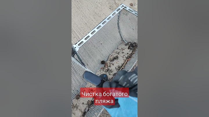 Чистка пляжа от мусора и дорогих вещей