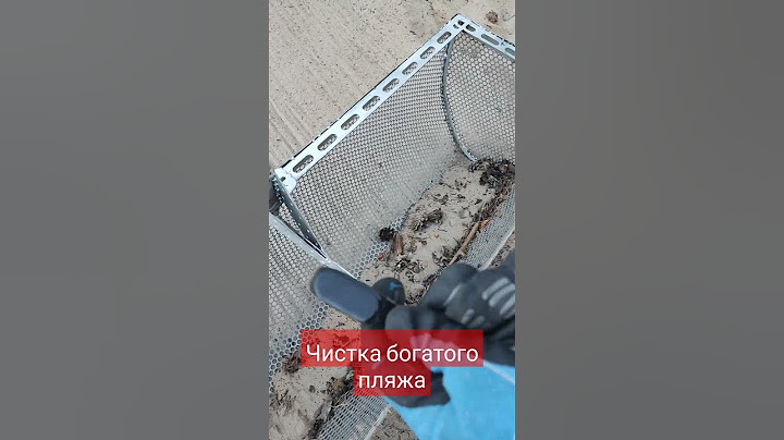 Чистка пляжа от мусора и дорогих вещей