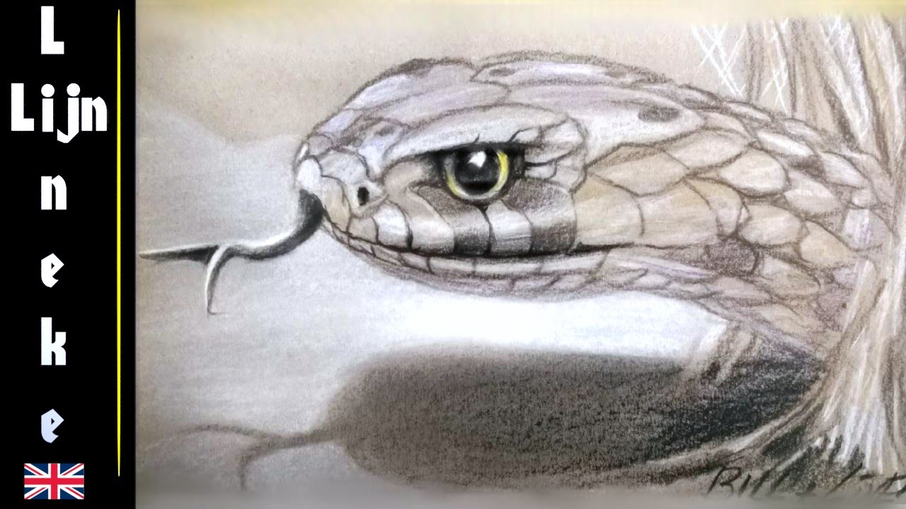 Realistic SNAKE drawing in pastel pencil - Featuring the Snake Artist
