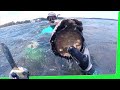 Massive Abalone, Oyster & Mussel Feast - Tasmania Seafood EP.465