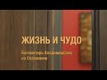 Богоматерь Владимирская, со Сказанием. Икона первой половины XVII века. Жизнь и чудо