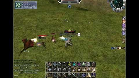 Rf online - ThaMaster, [CRITICAL]Error guild, PvP