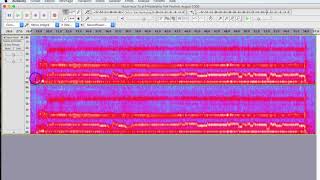 1C Spectrogramme