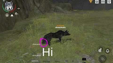 Wolf Online 2 how to type big and how to color code for coders