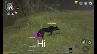 Wolf Online 2 how to type big and how to color code for coders