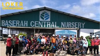 Download Lagu Lowongan Kerja PT Riau Andalan Pulp and Paper APRIL Group MP3