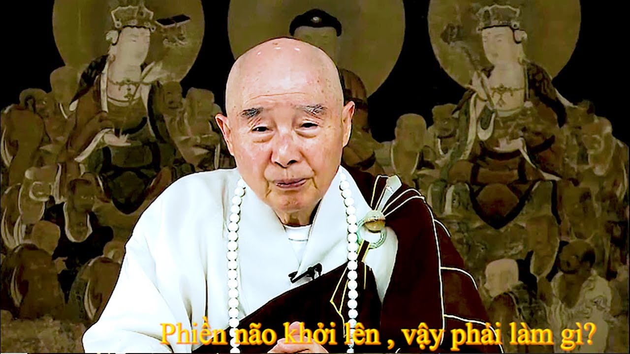 TĐ:3533-Phiền não khởi lên , vậy phải làm gì? - Trích Đoạn Khai Thị - Tịnh Độ Đại Kinh Giải Diễn Nghĩa