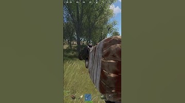 Oooops #rust #gaming #funny #shorts