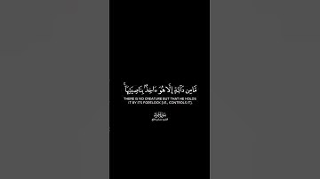إني توكلت على الله ربي وربكم شاشة | كرومات قرآن كريم بصوت #مشاري_فالح | #سورة_هود