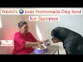 She love Thor more than me: Watch how & what Homemade dog food we give Thor in Summer's 100% Result