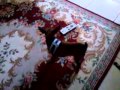 olha oque acontece quando o controle cai no châo