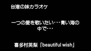 『喜多村英梨』「beautiful wish」cover